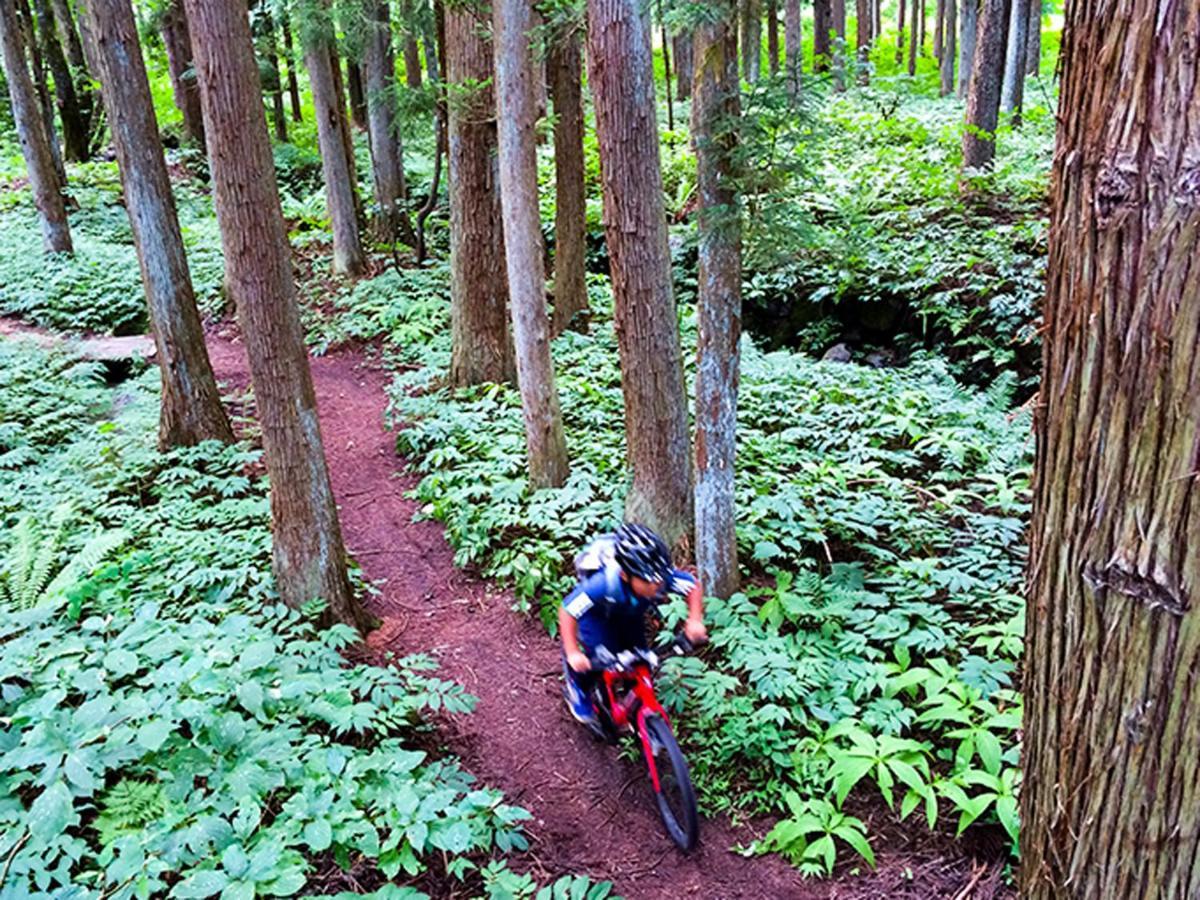 Cottage Yamajyu ฮาคุบะ ภายนอก รูปภาพ
